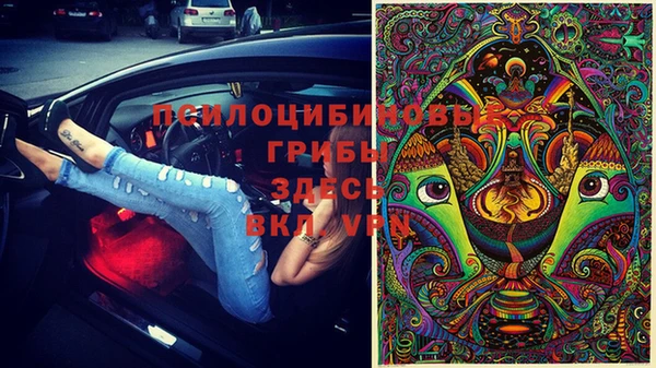 COCAINE Вяземский
