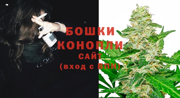 spice Вязьма