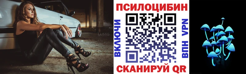 Купить где  Барнаул  Псилоцибиновые грибы Magic Shrooms 